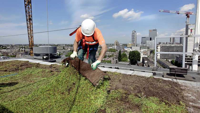 Paneles solares o musgo, serán obligatorios en los techos de Ámsterdam