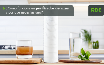 Cómo Funciona un Purificador de Agua y Por Qué Necesitas Uno.