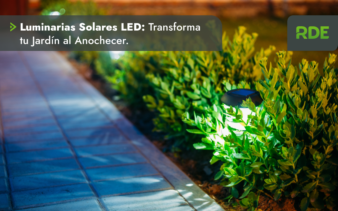 Luminarias Solares LED: Transforma tu Jardín al Anochecer